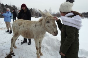 Экскурсия в парк Беремицкое